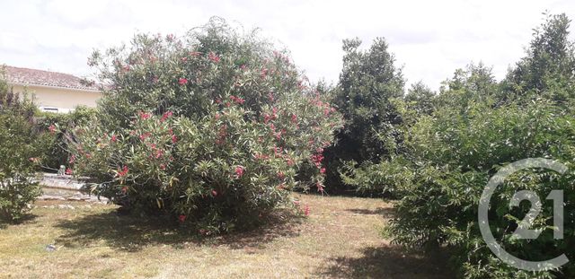 Afficher la photo en grand maison à vendre - 5 pièces - 177.55 m2 - VALEYRAC - 33 - AQUITAINE - Century 21 Agence Biran