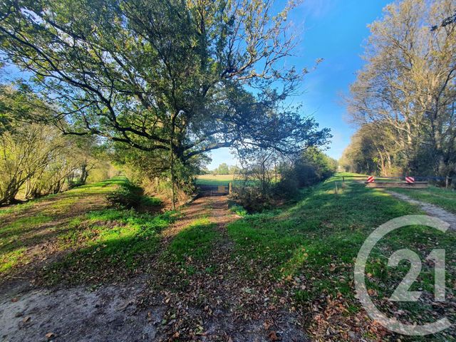 terrain à vendre - 104684.0 m2 - LESPARRE MEDOC - 33 - AQUITAINE - Century 21 Agence Biran