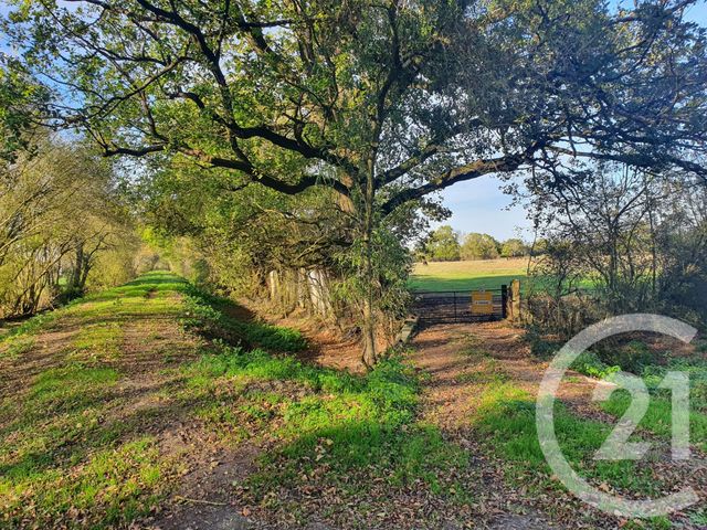 terrain à vendre - 104684.0 m2 - LESPARRE MEDOC - 33 - AQUITAINE - Century 21 Agence Biran