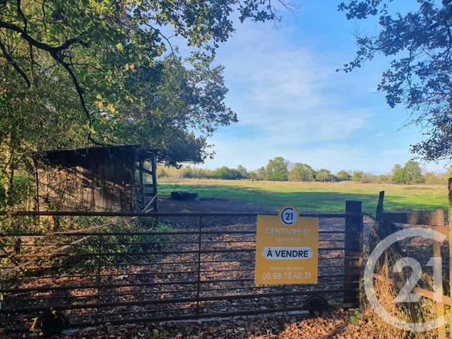 terrain à vendre - 104684.0 m2 - LESPARRE MEDOC - 33 - AQUITAINE - Century 21 Agence Biran