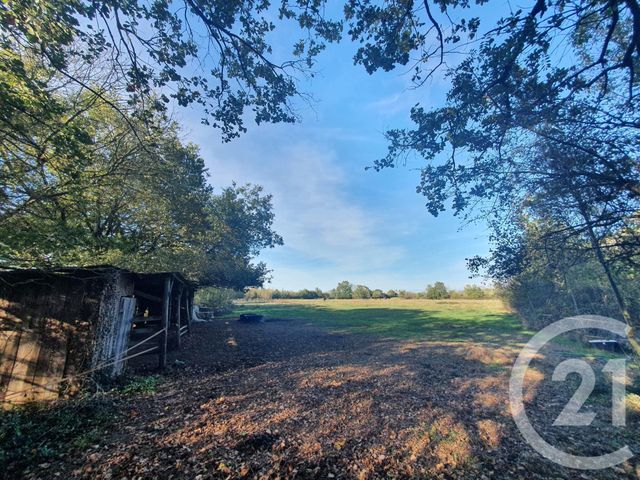 terrain à vendre - 104684.0 m2 - LESPARRE MEDOC - 33 - AQUITAINE - Century 21 Agence Biran