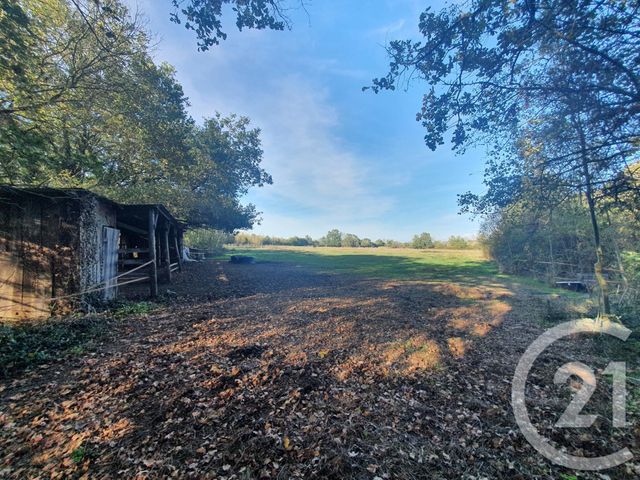 terrain à vendre - 104684.0 m2 - LESPARRE MEDOC - 33 - AQUITAINE - Century 21 Agence Biran