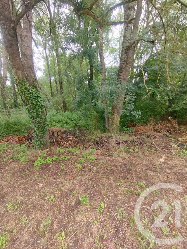 Afficher la photo en grand terrain à vendre - 2147.0 m2 - QUEYRAC - 33 - AQUITAINE - Century 21 Agence Biran