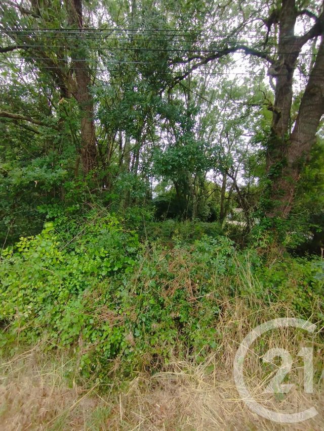 Afficher la photo en grand terrain à vendre - 2147.0 m2 - QUEYRAC - 33 - AQUITAINE - Century 21 Agence Biran