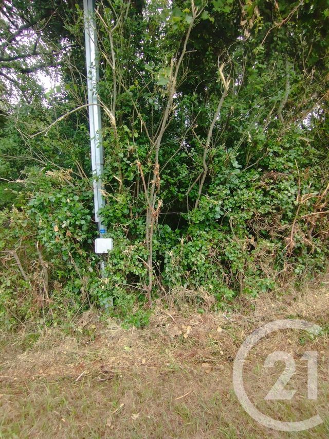 Afficher la photo en grand terrain à vendre - 2147.0 m2 - QUEYRAC - 33 - AQUITAINE - Century 21 Agence Biran