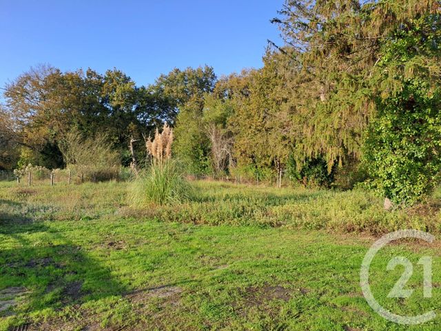 terrain à vendre - 2934.0 m2 - ST VIVIEN DE MEDOC - 33 - AQUITAINE - Century 21 Agence Biran