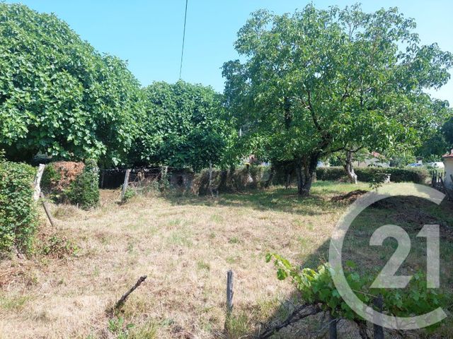 terrain - QUEYRAC - 33
