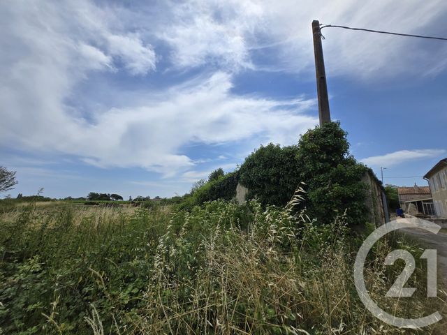 Afficher la photo en grand maison à vendre - 1 pièce - 50.0 m2 - ST GERMAIN D ESTEUIL - 33 - AQUITAINE - Century 21 Agence Biran