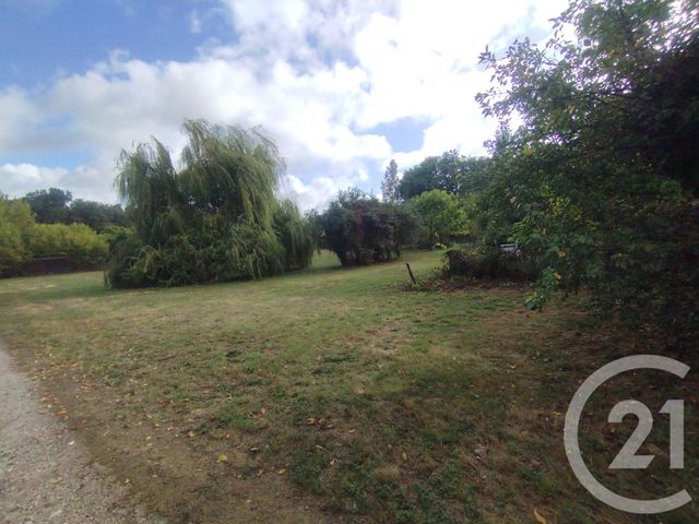 terrain à vendre - 3186.0 m2 - BLAIGNAN - 33 - AQUITAINE - Century 21 Agence Biran