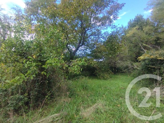 maison à vendre - 2 pièces - 33.72 m2 - ST GERMAIN D ESTEUIL - 33 - AQUITAINE - Century 21 Agence Biran