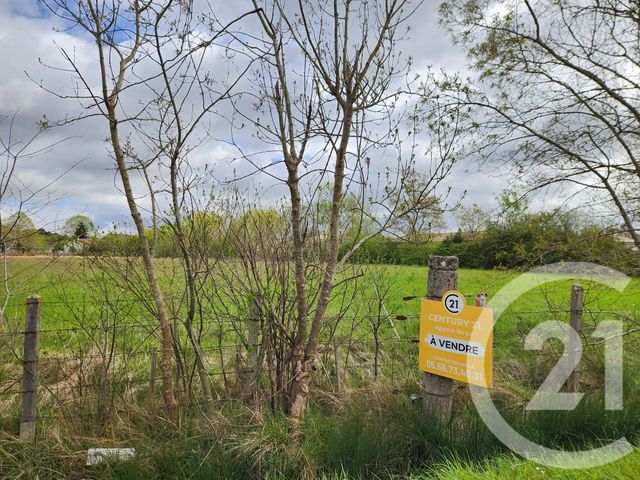 terrain à vendre - 1013.0 m2 - LESPARRE MEDOC - 33 - AQUITAINE - Century 21 Agence Biran