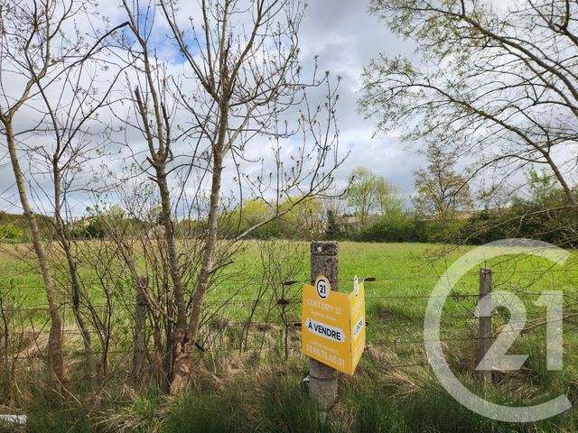 terrain à vendre - 1013.0 m2 - LESPARRE MEDOC - 33 - AQUITAINE - Century 21 Agence Biran