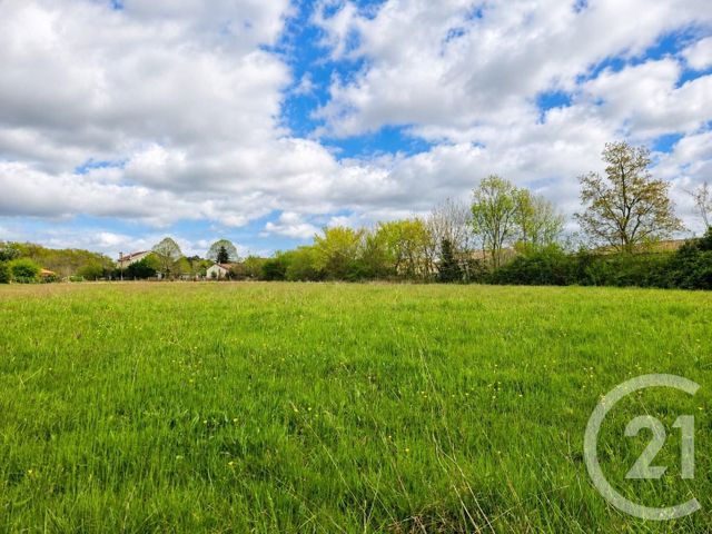 terrain - LESPARRE MEDOC - 33
